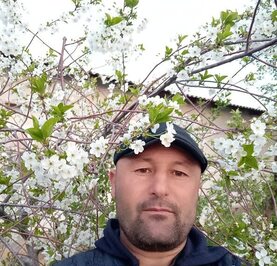 Жамол Жамол