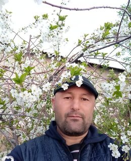 Жамол Жамол