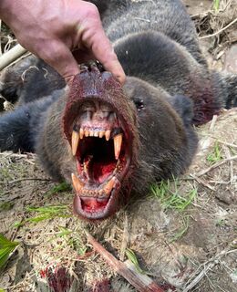 Леонид — фото 1