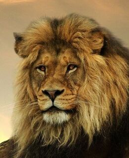 Chernihvadim@cmail.ru